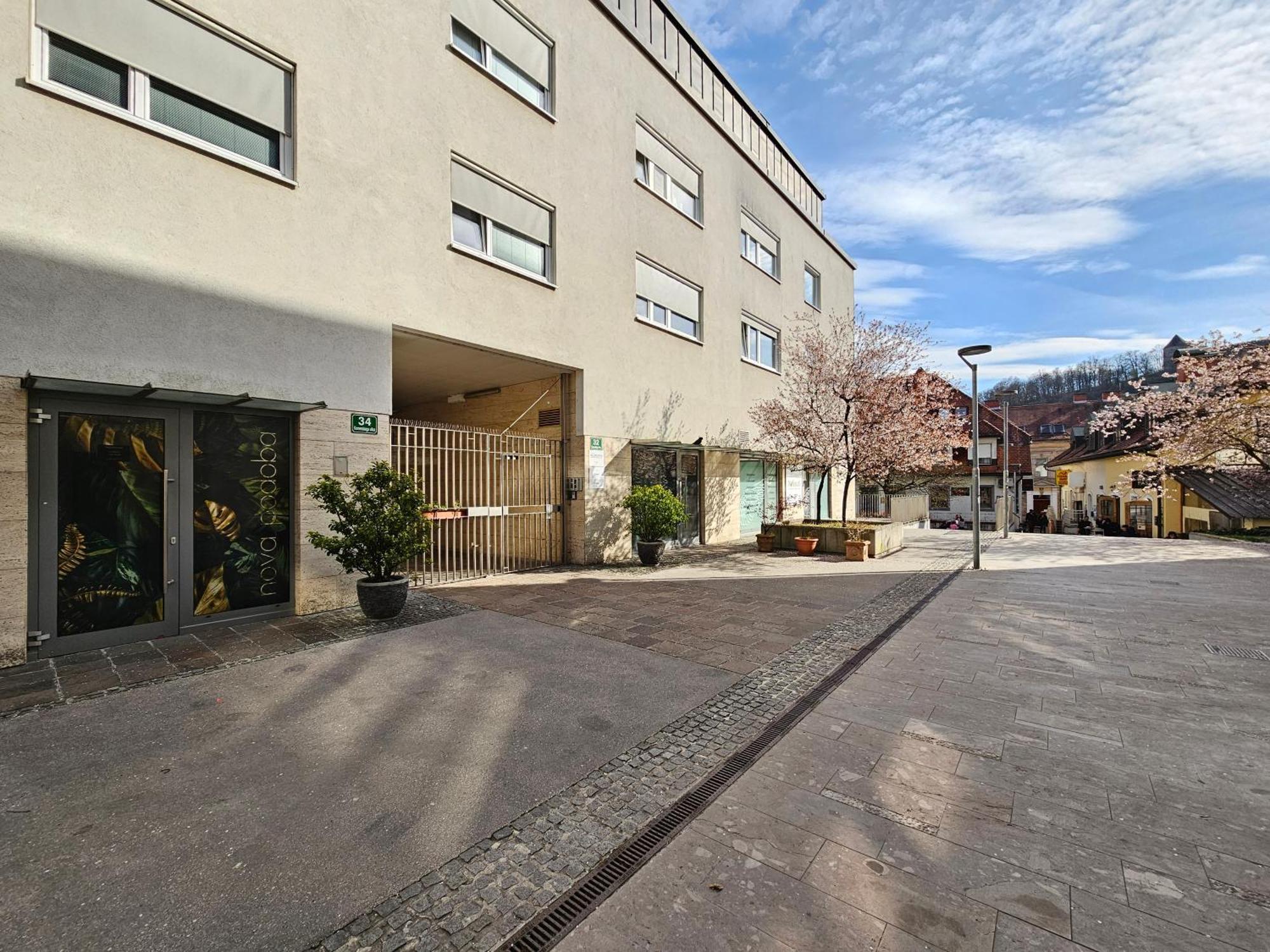 Apartment Irena Tour As ليوبليانا المظهر الخارجي الصورة